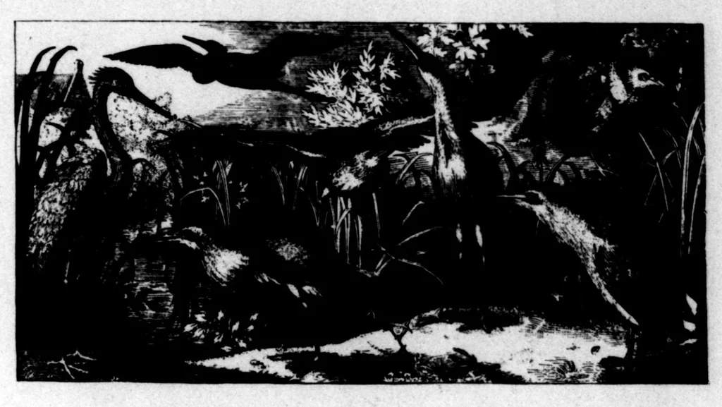 An illustration from The Badminton Magazine 1896-02: Vol 2 Iss 7, 1896, leaf 82