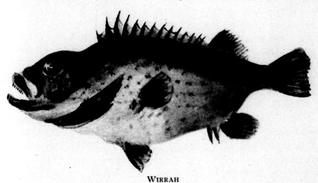 An illustration from The Badminton Magazine 1896-02: Vol 2 Iss 7, 1896, leaf 90