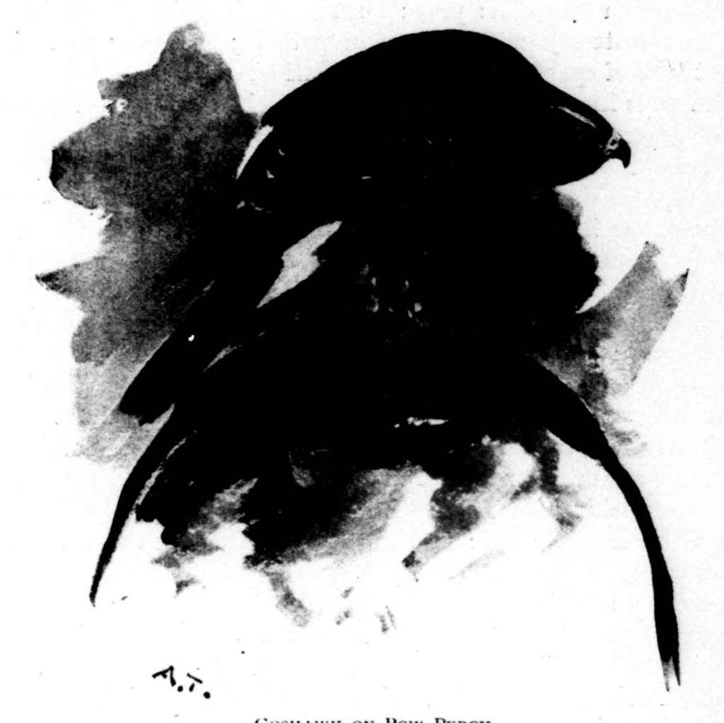 An illustration from The Badminton Magazine 1896-05: Vol 2 Iss 10, 1896, leaf 10