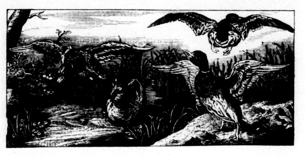 An illustration from The Badminton Magazine 1896-06: Vol 2 Iss 11, 1896, leaf 69