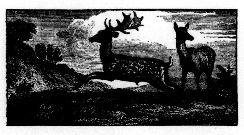 An illustration from The Badminton Magazine 1896-06: Vol 2 Iss 11, 1896, leaf 87
