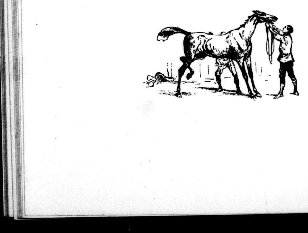 An illustration from The Badminton Magazine of Sports and Pasttimes 1896-07: Vol 3 Iss 12, 1896, leaf 131