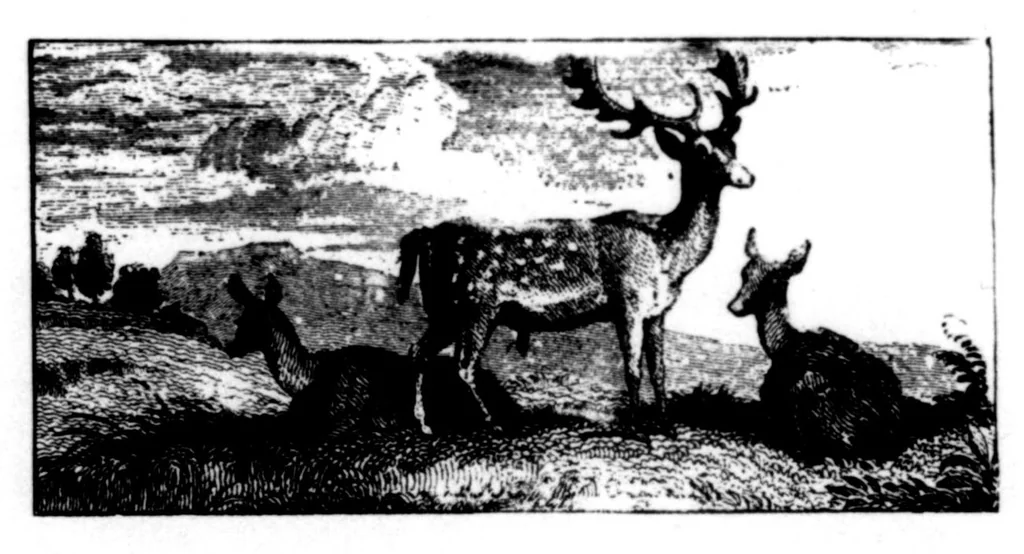 An illustration from The Badminton Magazine 1896-08: Vol 3 Iss 13, 1896, leaf 23