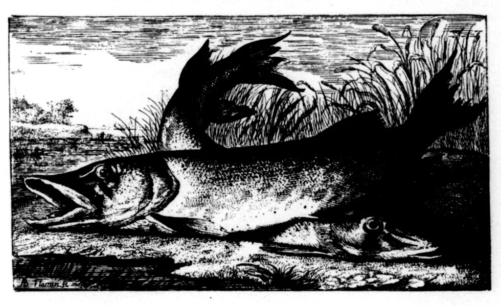 An illustration from The Badminton Magazine 1896-09: Vol 3 Iss 14, 1896, leaf 120