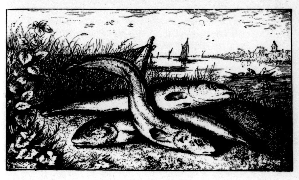 An illustration from The Badminton Magazine 1896-09: Vol 3 Iss 14, 1896, leaf 44