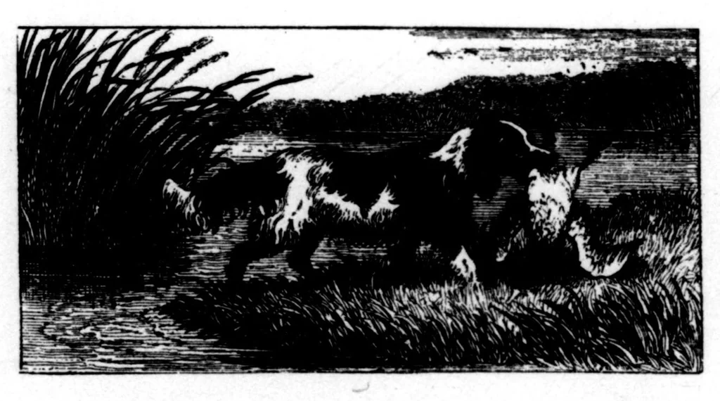 An illustration from The Badminton Magazine 1896-11: Vol 3 Iss 16, 1896, leaf 125
