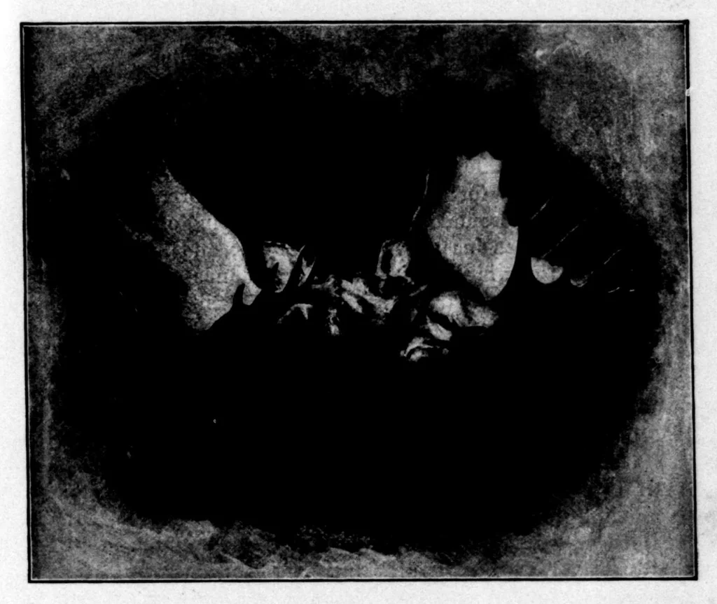 An illustration from The Badminton Magazine 1896-11: Vol 3 Iss 16, 1896, leaf 68