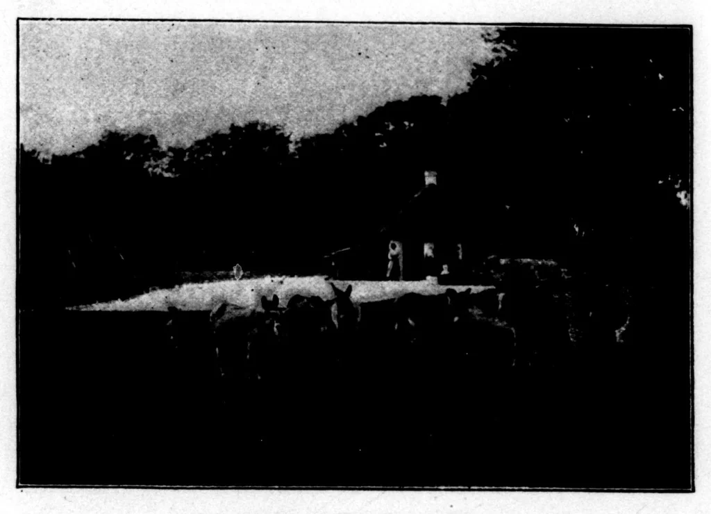 An illustration from The Badminton Magazine 1896-12: Vol 3 Iss 17, 1896, leaf 35