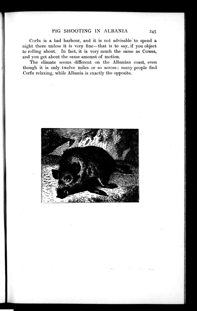 An illustration from The Badminton Magazine 1897-02: Vol 4 Iss 19, 1897, leaf 118