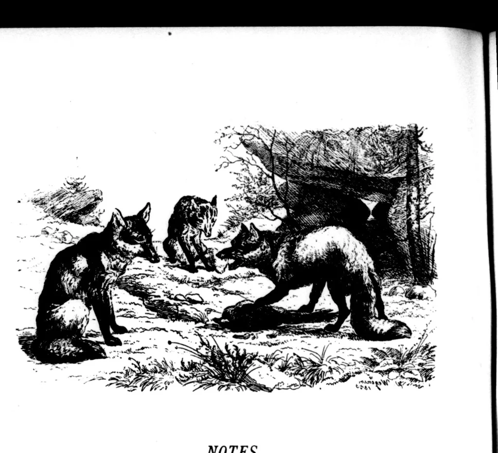 An illustration from The Badminton Magazine 1897-05: Vol 4 Iss 22, 1897, leaf 119