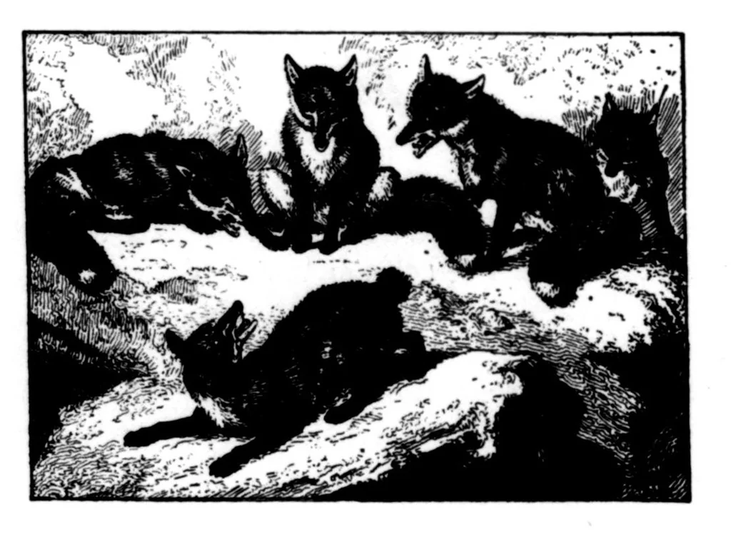 An illustration from The Badminton Magazine 1897-05: Vol 4 Iss 22, 1897, leaf 81