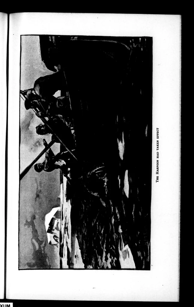 An illustration from The Badminton Magazine 1897-06: Vol 4 Iss 23, 1897, leaf 52
