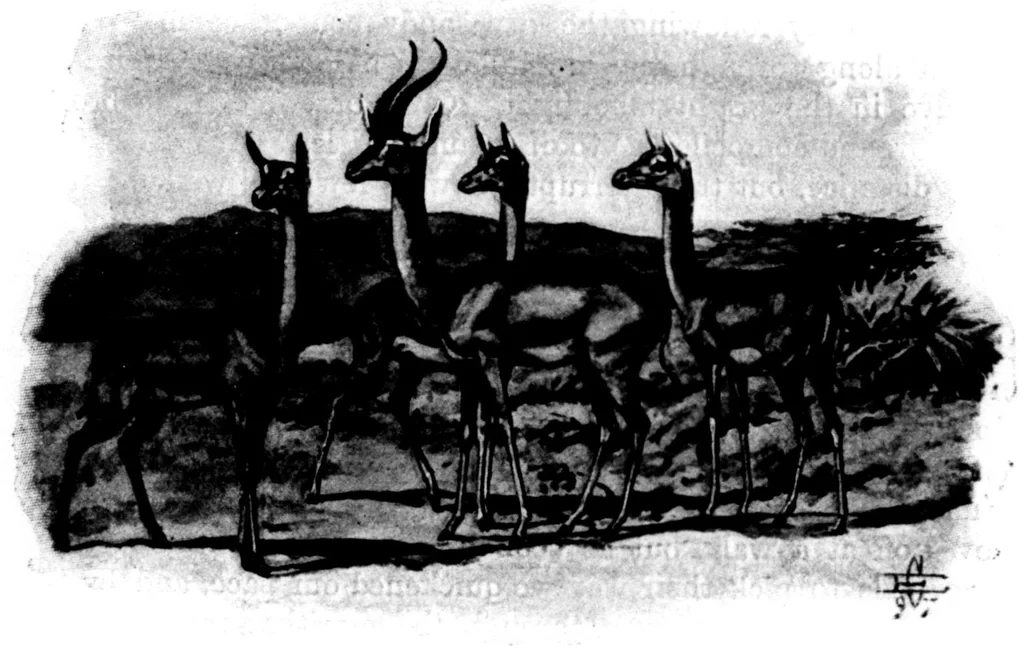 An illustration from The Badminton Magazine 1897-12: Vol 5 Iss 29, 1897, leaf 37