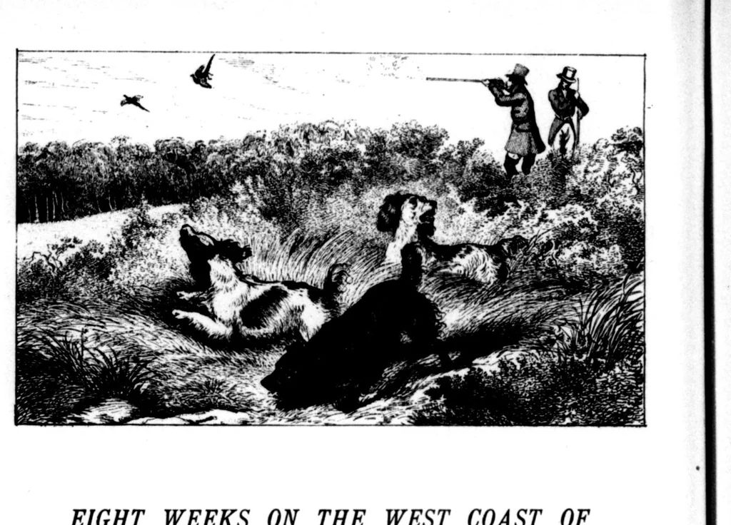 An illustration from The Badminton Magazine 1897-12: Vol 5 Iss 29, 1897, leaf 57