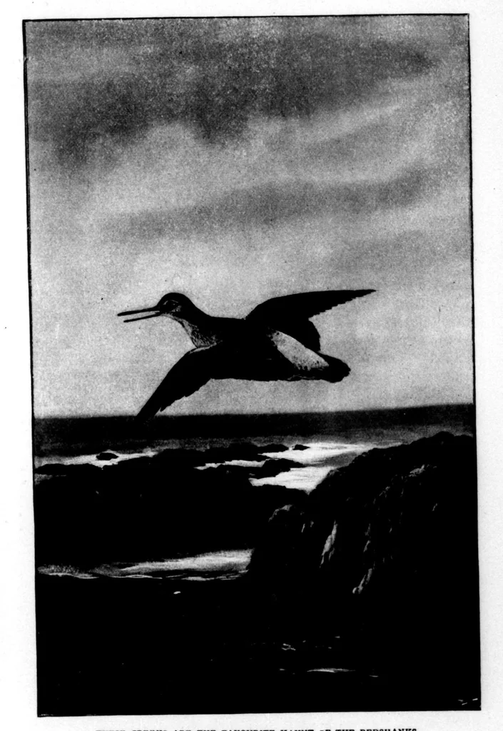 An illustration from The Badminton Magazine of Sports and Pasttimes 1898-01: Vol 6 Iss 30, 1898, leaf 62
