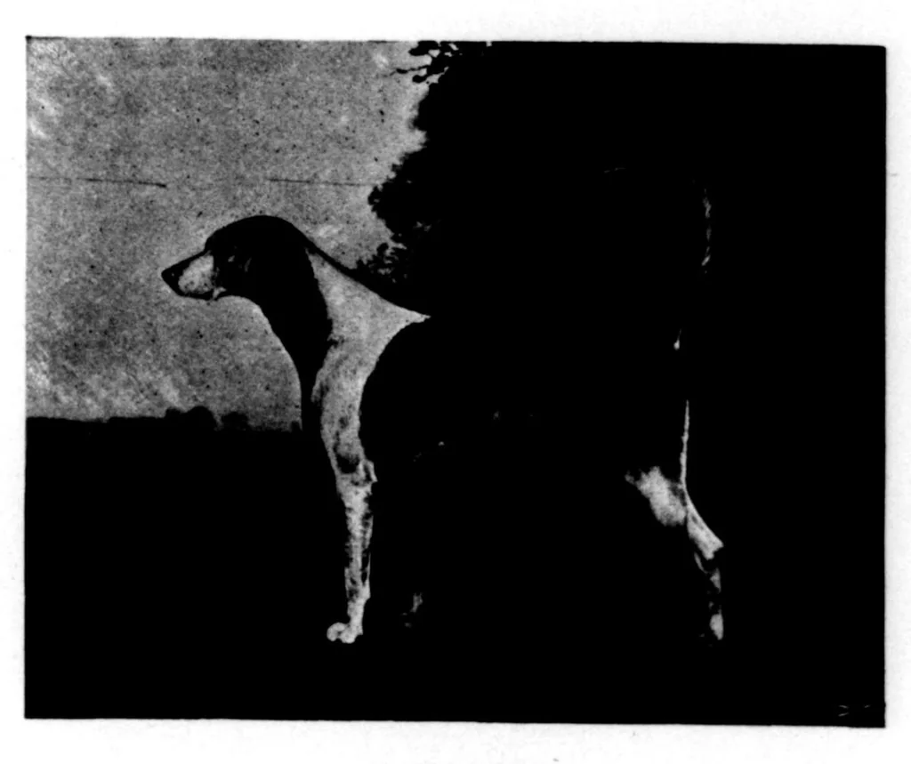 An illustration from The Badminton Magazine 1898-02: Vol 6 Iss 31, 1898, leaf 86