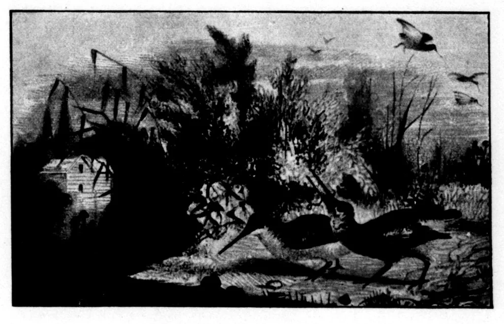 An illustration from The Badminton Magazine 1898-03: Vol 6 Iss 32, 1898, leaf 26