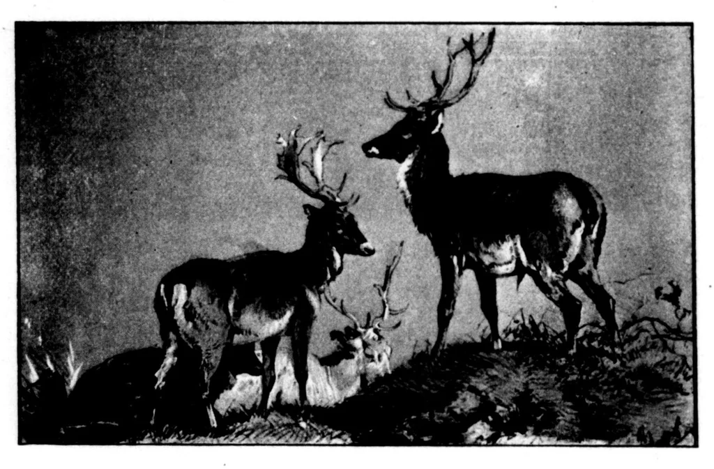 An illustration from The Badminton Magazine 1898-06: Vol 6 Iss 35, 1898, leaf 25