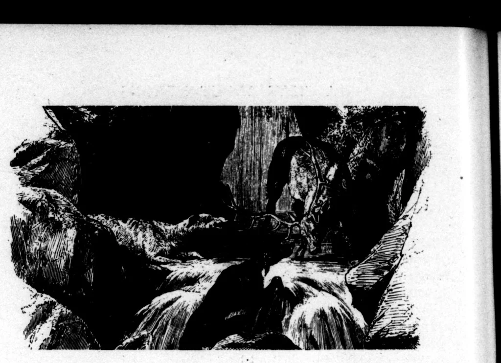An illustration from The Badminton Magazine 1898-09: Vol 7 Iss 38, 1898, leaf 19
