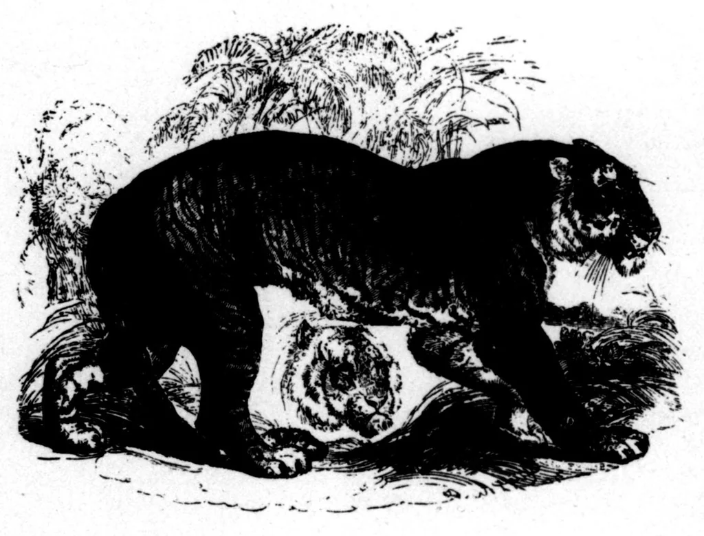 An illustration from The Badminton Magazine 1898-09: Vol 7 Iss 38, 1898, leaf 59