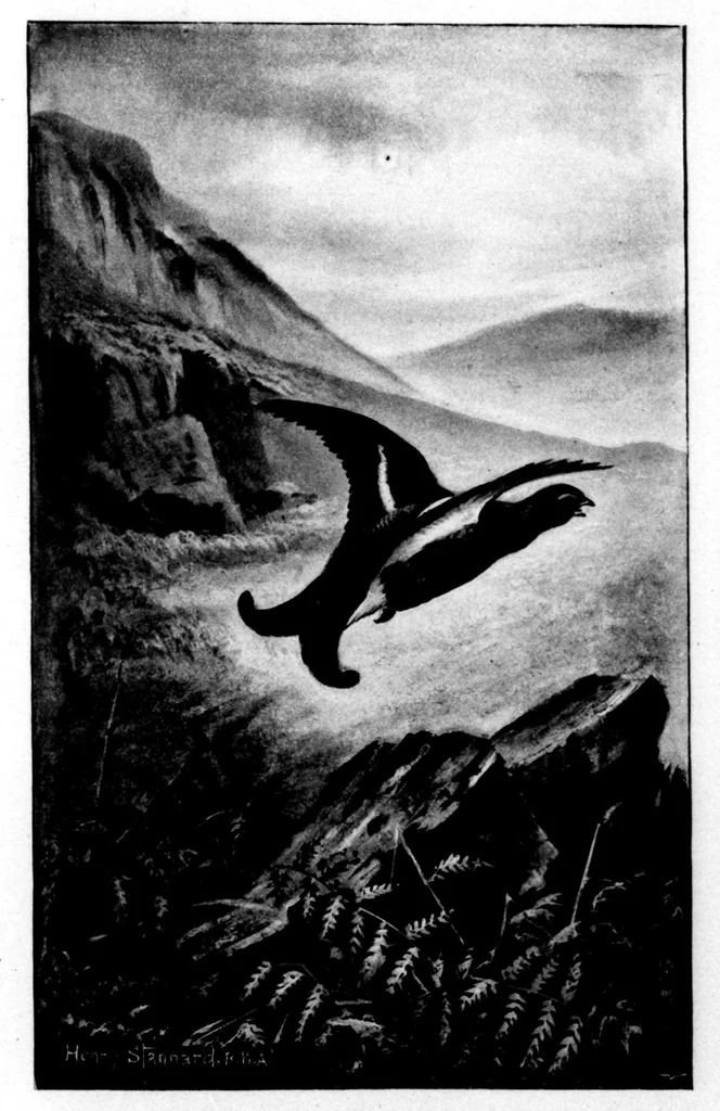 An illustration from The Badminton Magazine 1898-09: Vol 7 Iss 38, 1898, leaf 68