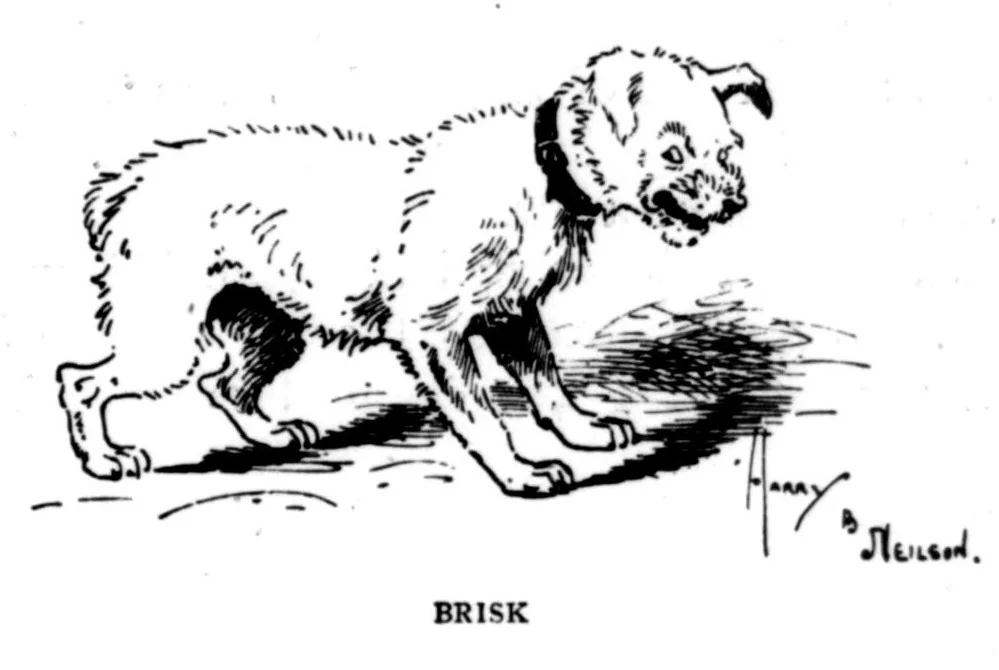 An illustration from The Badminton Magazine 1898-11: Vol 7 Iss 40, 1898, leaf 100