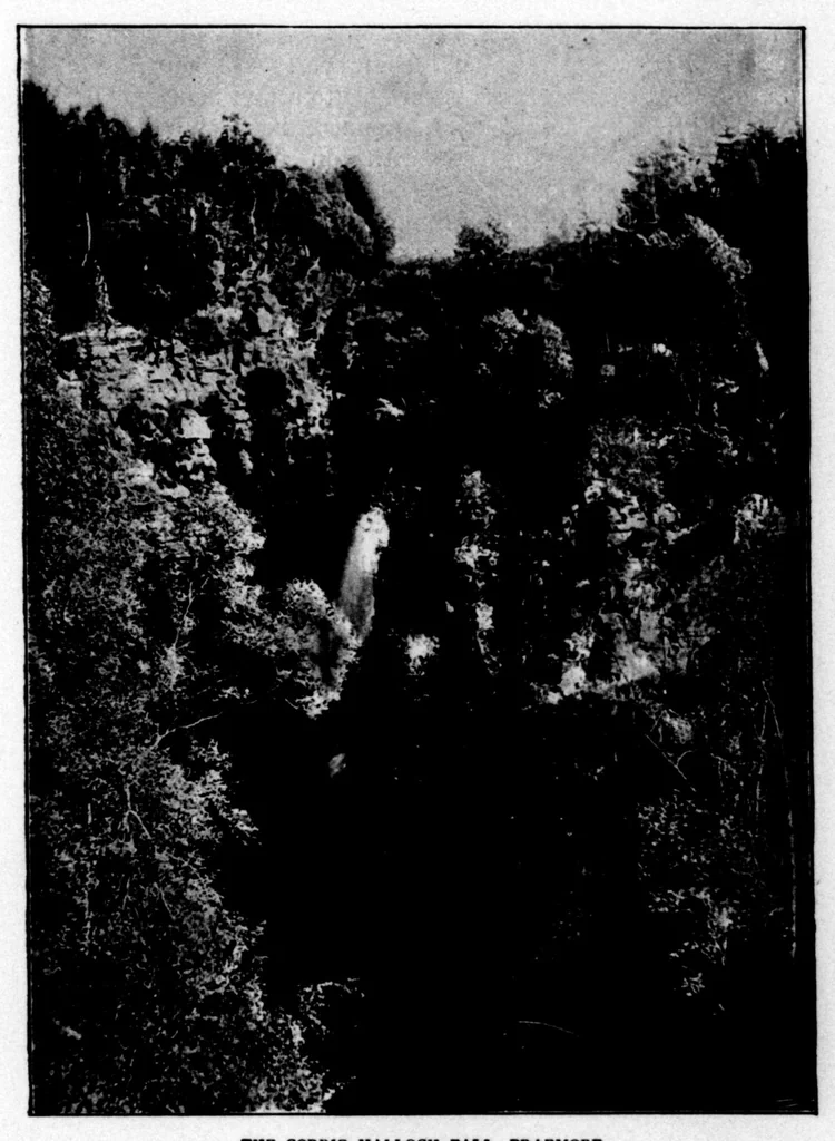 An illustration from The Badminton Magazine 1898-11: Vol 7 Iss 40, 1898, leaf 20