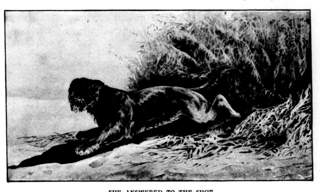 An illustration from The Badminton Magazine 1898-12: Vol 7 Iss 41, 1898, leaf 24