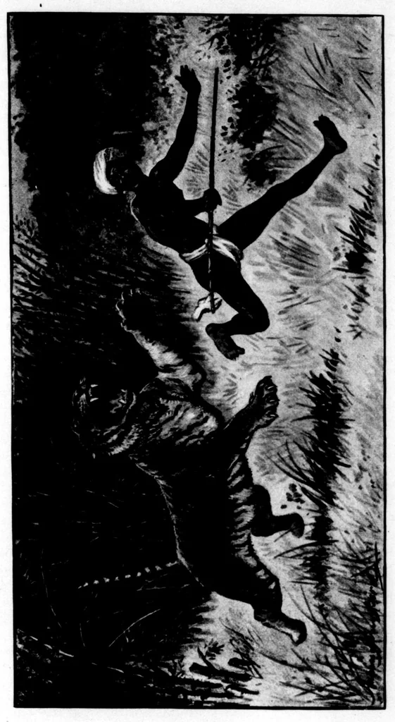 An illustration from The Badminton Magazine 1898-12: Vol 7 Iss 41, 1898, leaf 78