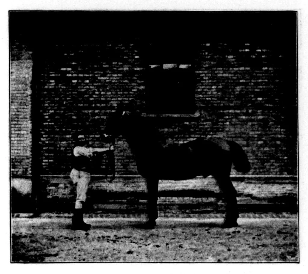 An illustration from The Badminton Magazine of Sports and Pasttimes 1899-01: Vol 8 Iss 42, 1899, leaf 90