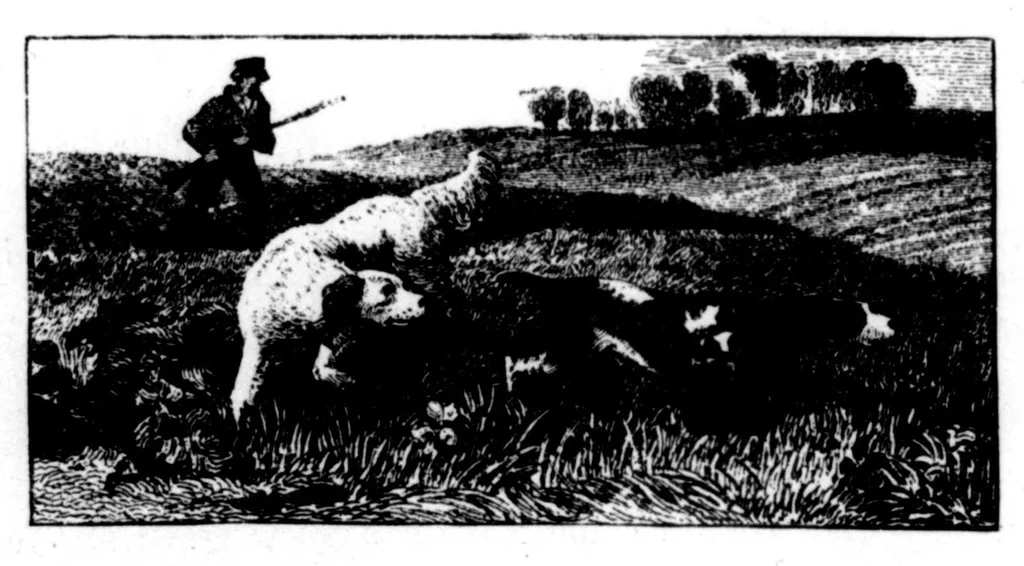 An illustration from The Badminton Magazine 1899-05: Vol 8 Iss 46, 1899, leaf 113