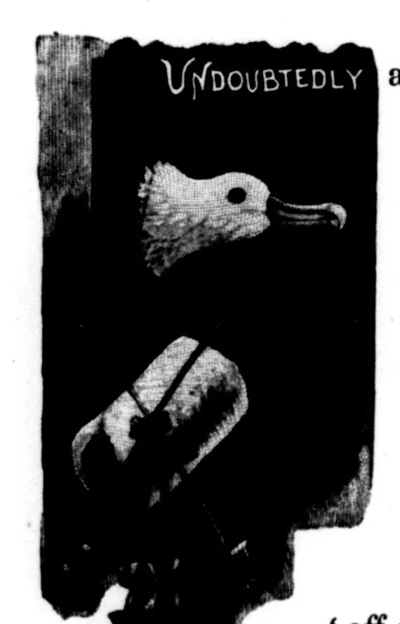 An illustration from The Badminton Magazine of Sports and Pasttimes 1899-07: Vol 9 Iss 48, 1899, leaf 31