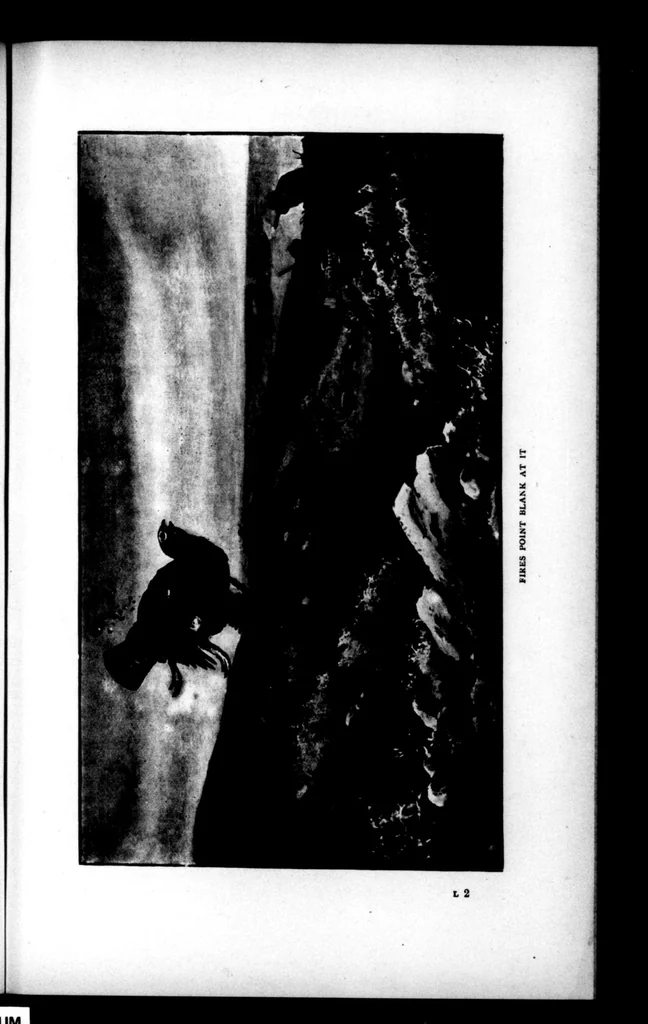 An illustration from The Badminton Magazine 1899-08: Vol 9 Iss 49, 1899, leaf 18