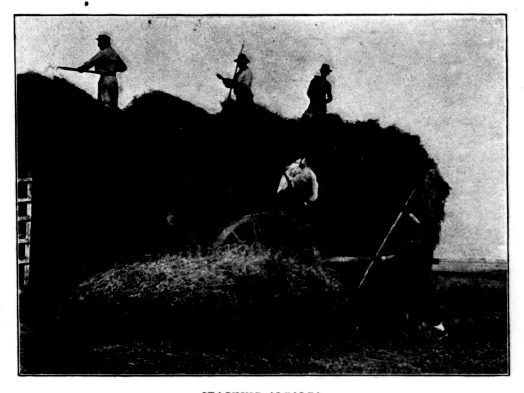An illustration from The Badminton Magazine 1899-08: Vol 9 Iss 49, 1899, leaf 56