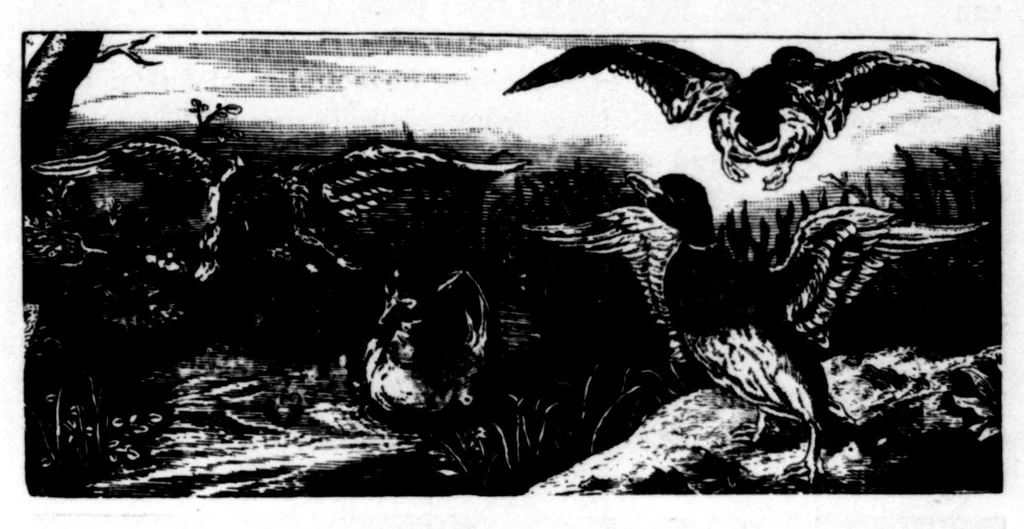 An illustration from The Badminton Magazine 1899-08: Vol 9 Iss 49, 1899, leaf 72