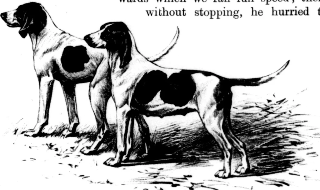 An illustration from The Badminton Magazine 1899-10: Vol 9 Iss 51, 1899, leaf 74