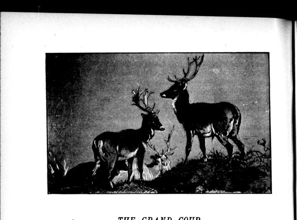 An illustration from The Badminton Magazine 1899-12: Vol 9 Iss 53, 1899, leaf 19