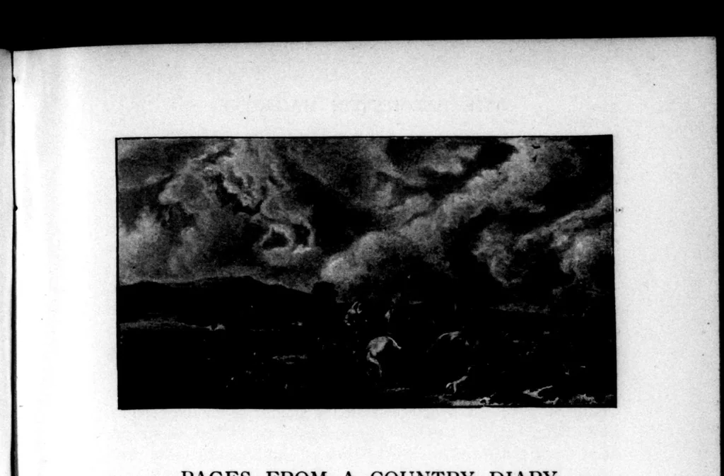 An illustration from The Badminton Magazine 1900-03: Vol 10 Iss 56, 1900, leaf 66