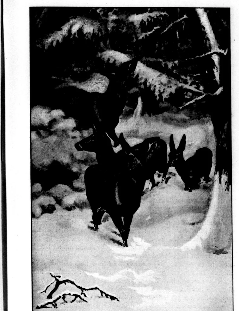 An illustration from The Badminton Magazine 1900-04: Vol 10 Iss 57, 1900, leaf 48