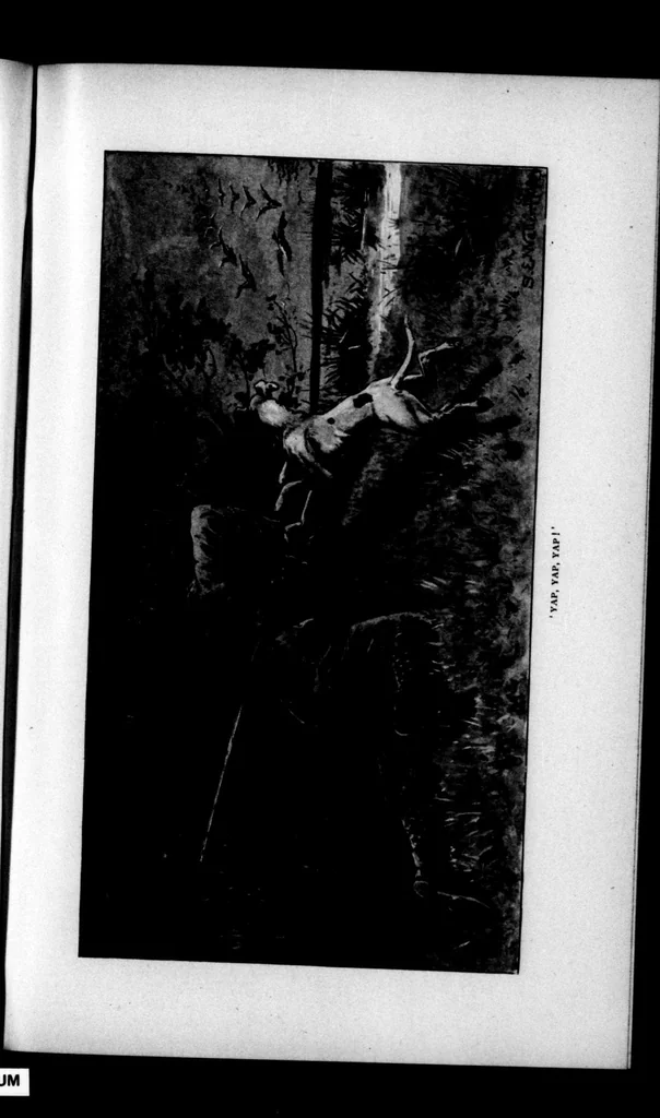 An illustration from The Badminton Magazine 1900-04: Vol 10 Iss 57, 1900, leaf 66