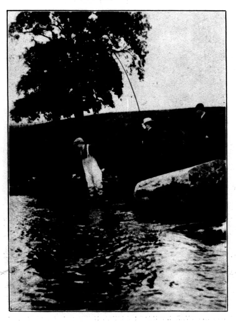 An illustration from The Badminton Magazine of Sports and Pasttimes 1900-07: Vol 11 Iss 60, 1900, leaf 115