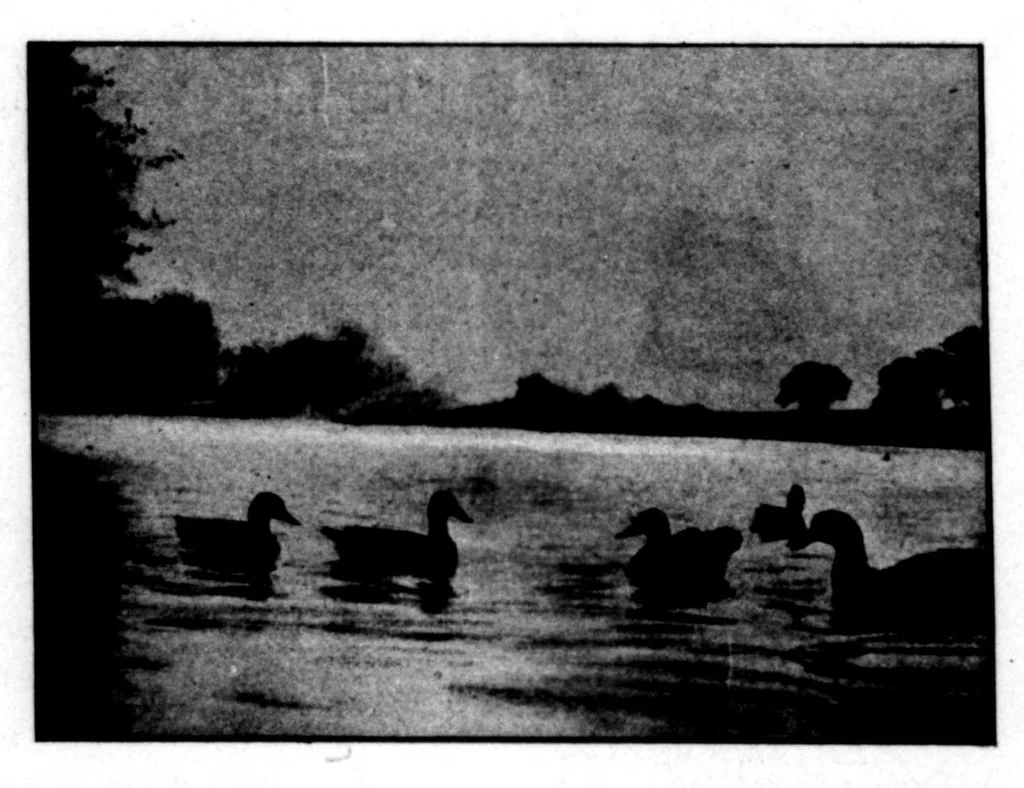 An illustration from The Badminton Magazine 1900-10: Vol 11 Iss 63, 1900, leaf 89