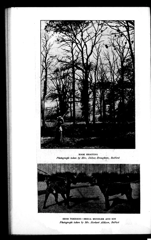 An illustration from The Badminton Magazine 1900-12: Vol 11 Iss 65, 1900, leaf 97