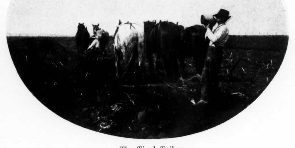 An illustration from Field and Stream 1904-04: Vol 8 Iss 12, 1904, leaf 97
