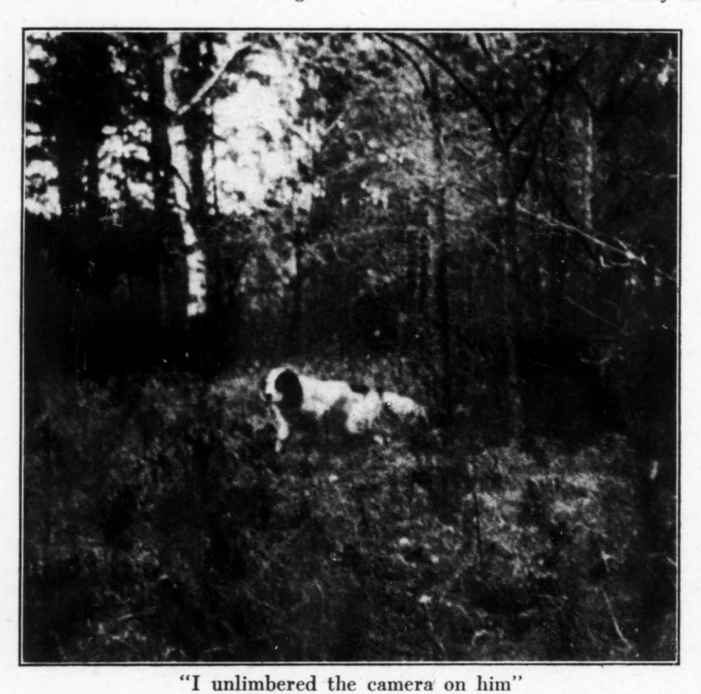 An illustration from Field and Stream 1917-02: Vol 21 Iss 10, 1917, leaf 23