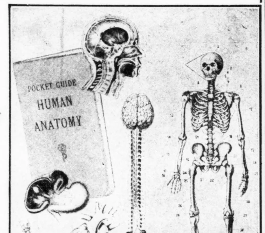 An illustration from American Association for Health, Physical Education and Recreation Journal 1930-03: Vol 1 Iss 3, 1930, leaf 61