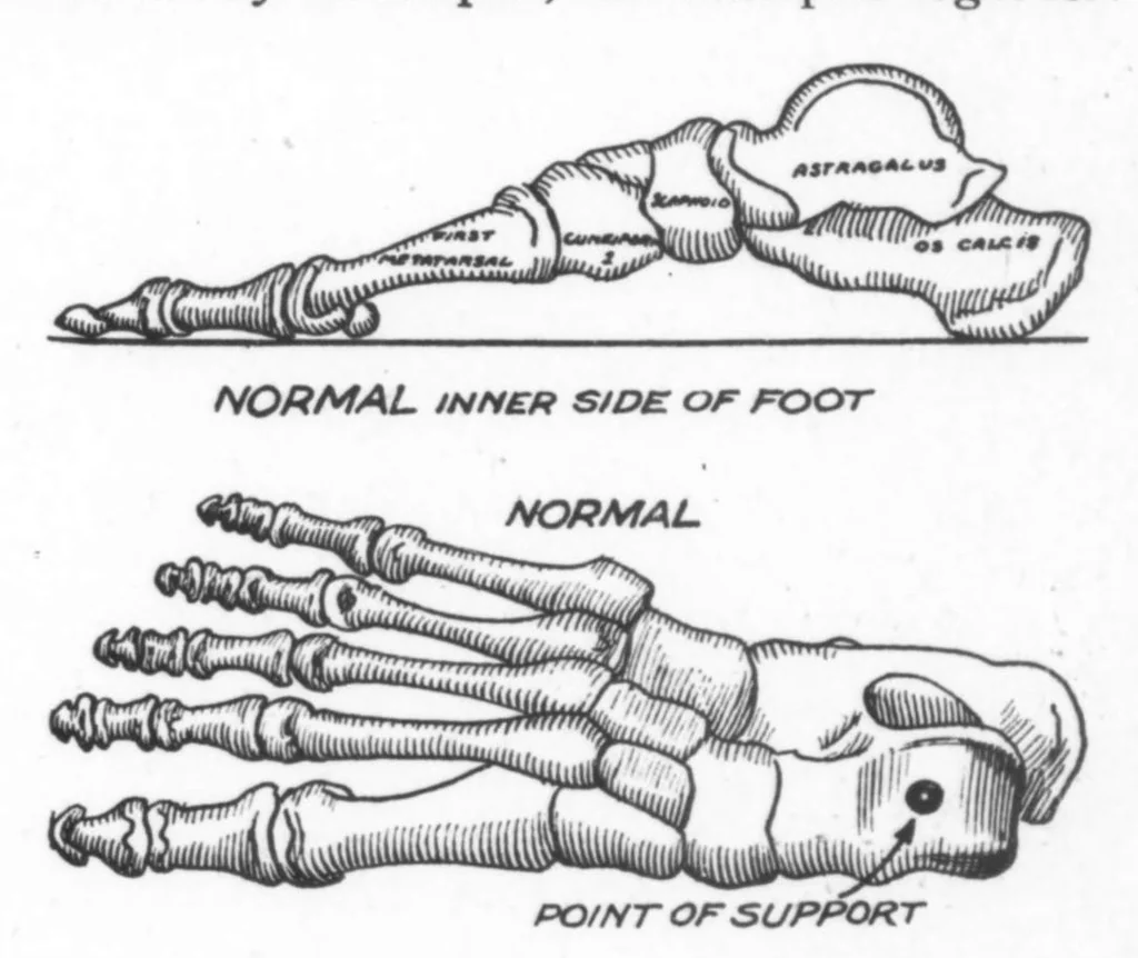 An illustration from American Association for Health, Physical Education and Recreation Journal 1930-04: Vol 1 Iss 4, 1930, leaf 24