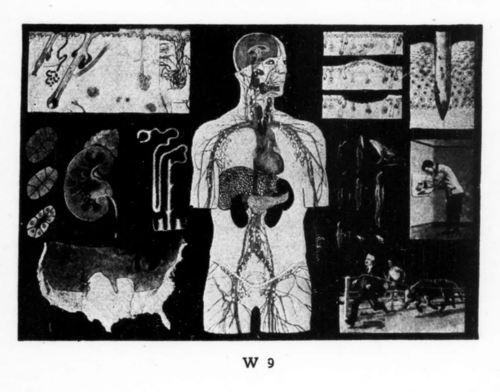 An illustration from American Association for Health, Physical Education and Recreation Journal 1930-05: Vol 1 Iss 5, 1930, leaf 42