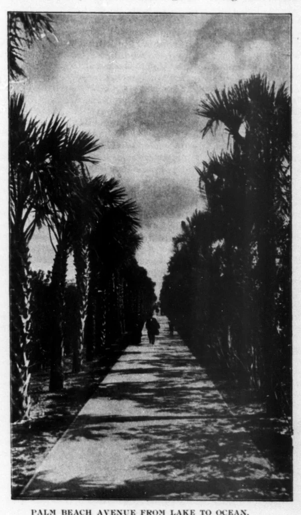 An illustration from Outdoor Life 1898-05: Vol 1 Iss 5, 1898, leaf 12