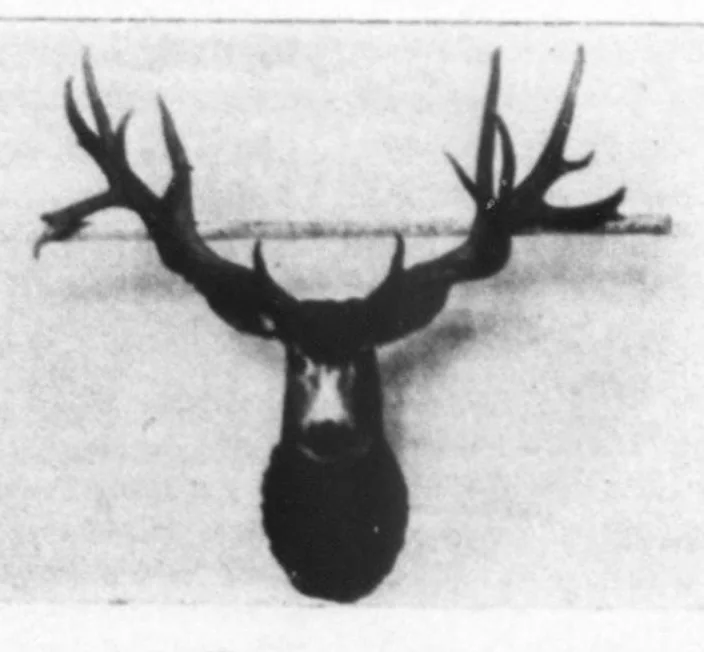An illustration from Outdoor Life 1898-06: Vol 1 Iss 6, 1898, leaf 37